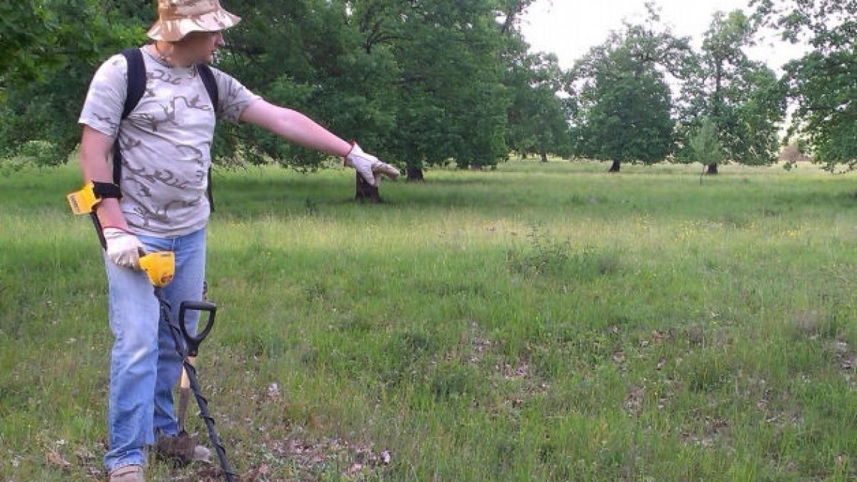 descoperire senzationala in apropiere de bistrita