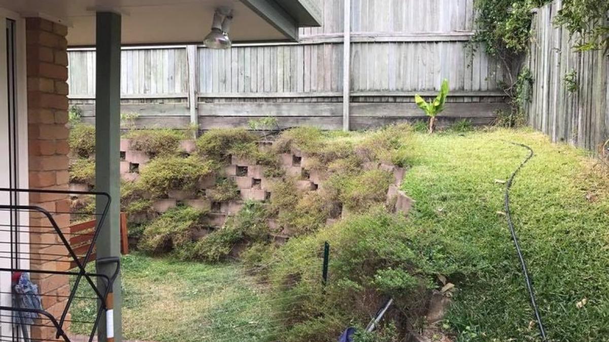 isi beau linistiti cafeaua cand au aruncat o privire in gradina au avut un adevarat soc cand au