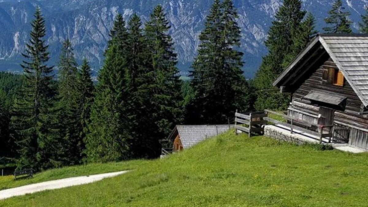 concluziile jurnalistilor de la the new york times dupa ce au petrecut o vacanta in romania