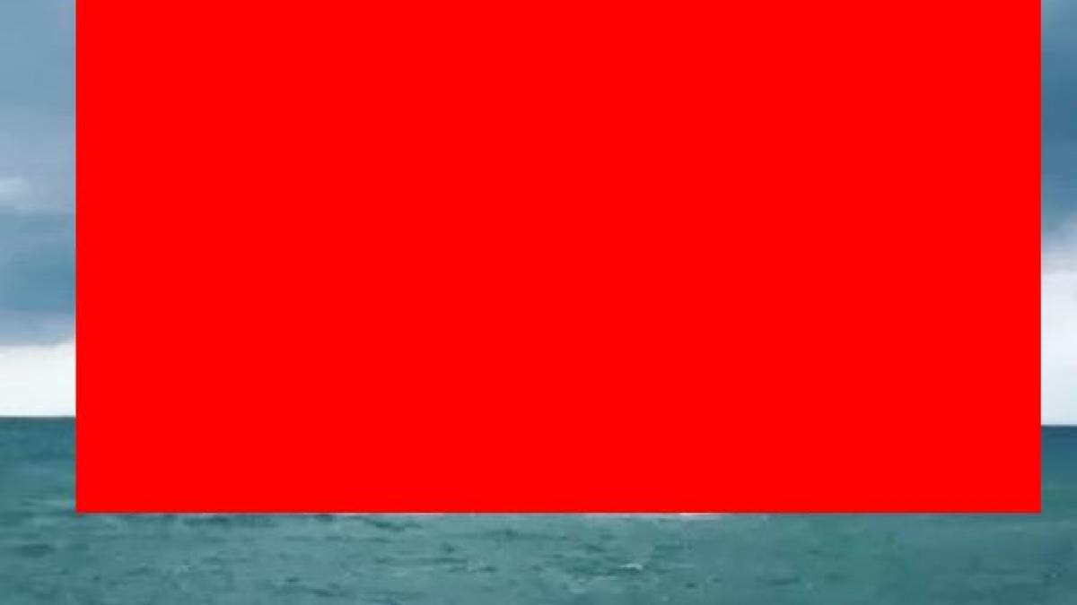 fenomen spectaculos la marea neagra oamenilor nu le a venit sa creada ce vad foto