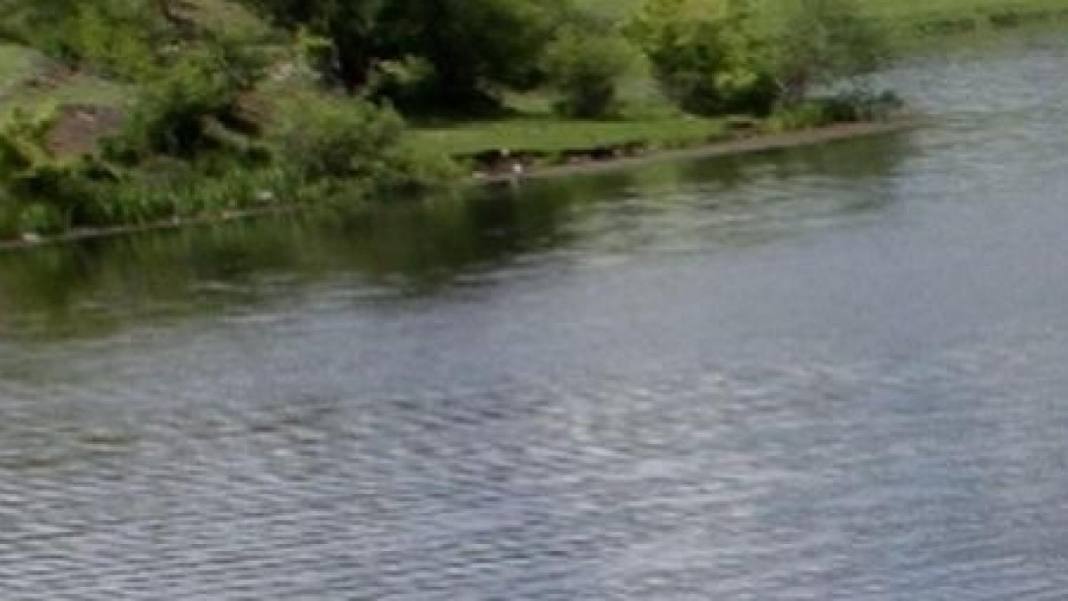 imaginile unui dezastru ecologic pe lacul morii din capitala video