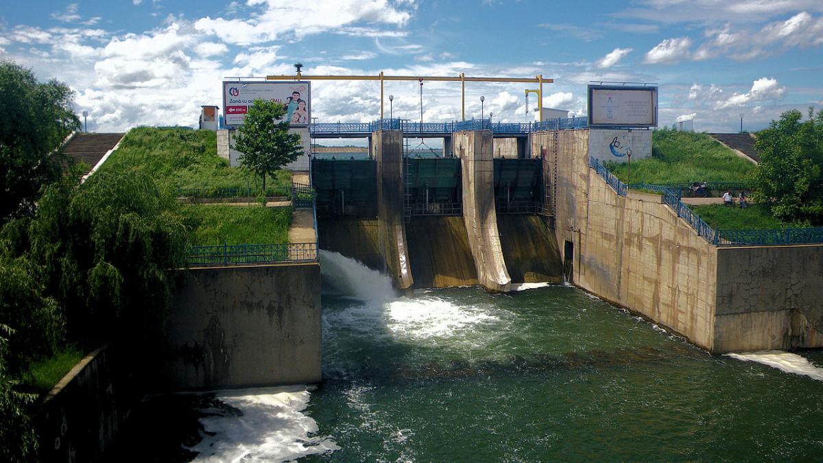 imagini de cosmar pe lacul morii din bucuresti a avut un soc cand a vazut ce plutea pe luciul apei