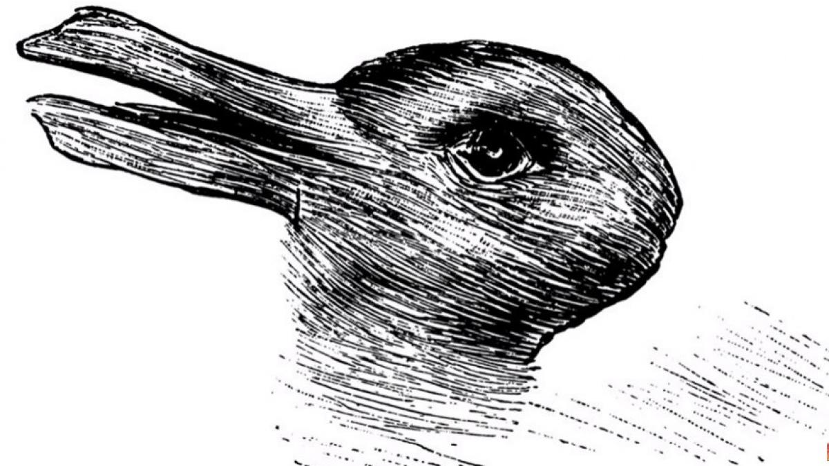 aceasta iluzie optica spune multe despre tine putini isi dau seama ce apare cu adevarat in imagine