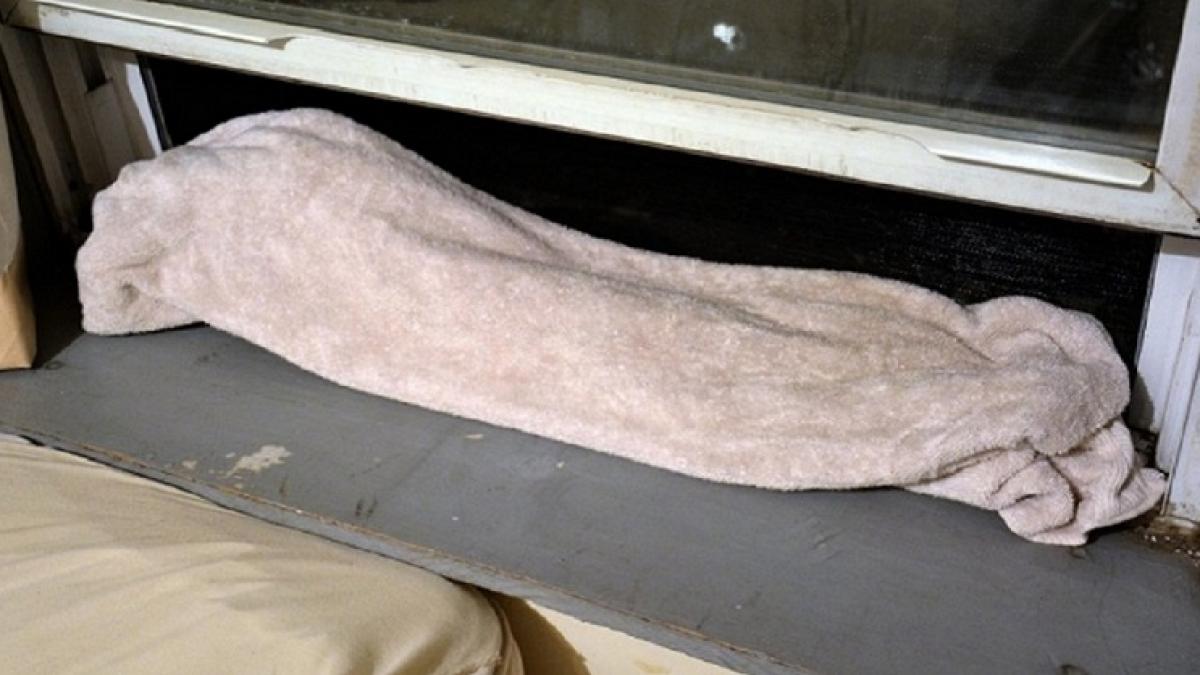 lasa in fiecare seara la geam un prosop umed este incredibil ce efect are