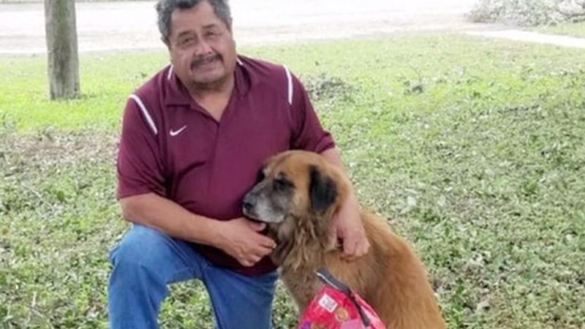 cainele erou care s a luptat cu uraganul harvey povestea lui a devenit virala