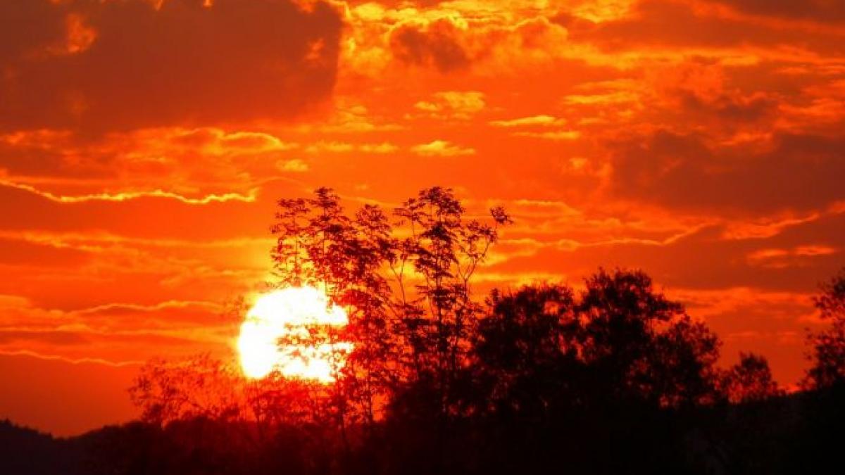 aceste tari vor reusi sa supravietuiasca efectelor schimbarilor climatice ce se va intampla in