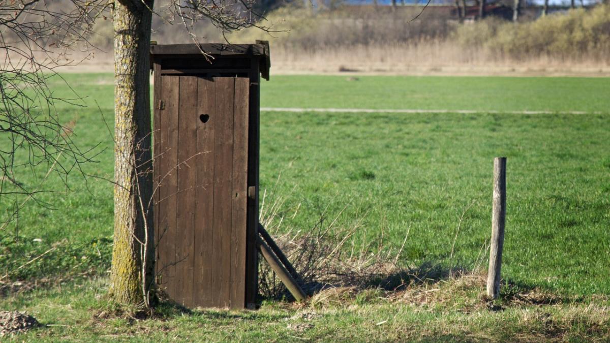 au auzit zgomote ciudate venind din wc ul din curte asa ca au chemat politistii cand s au apropiat