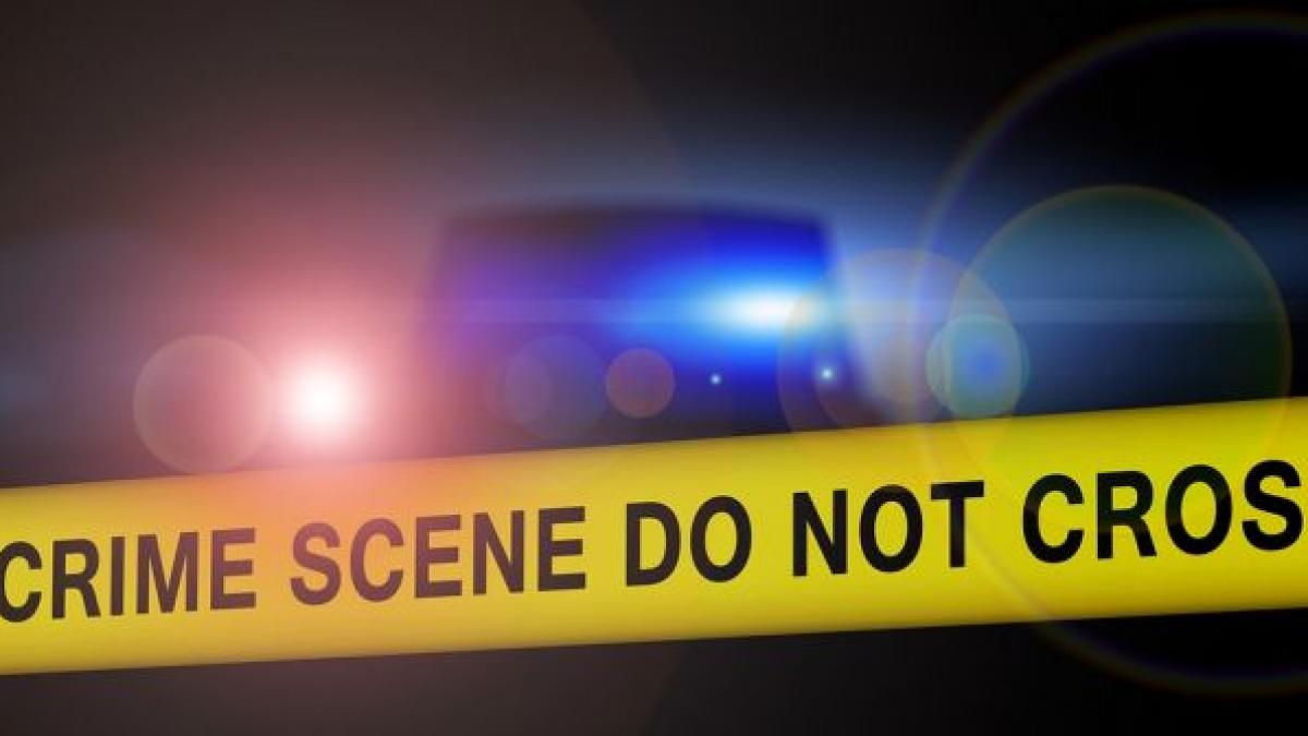 descoperire macabra politia a blocat o strada din belfast dupa ce mai multi copii au gasit un cap