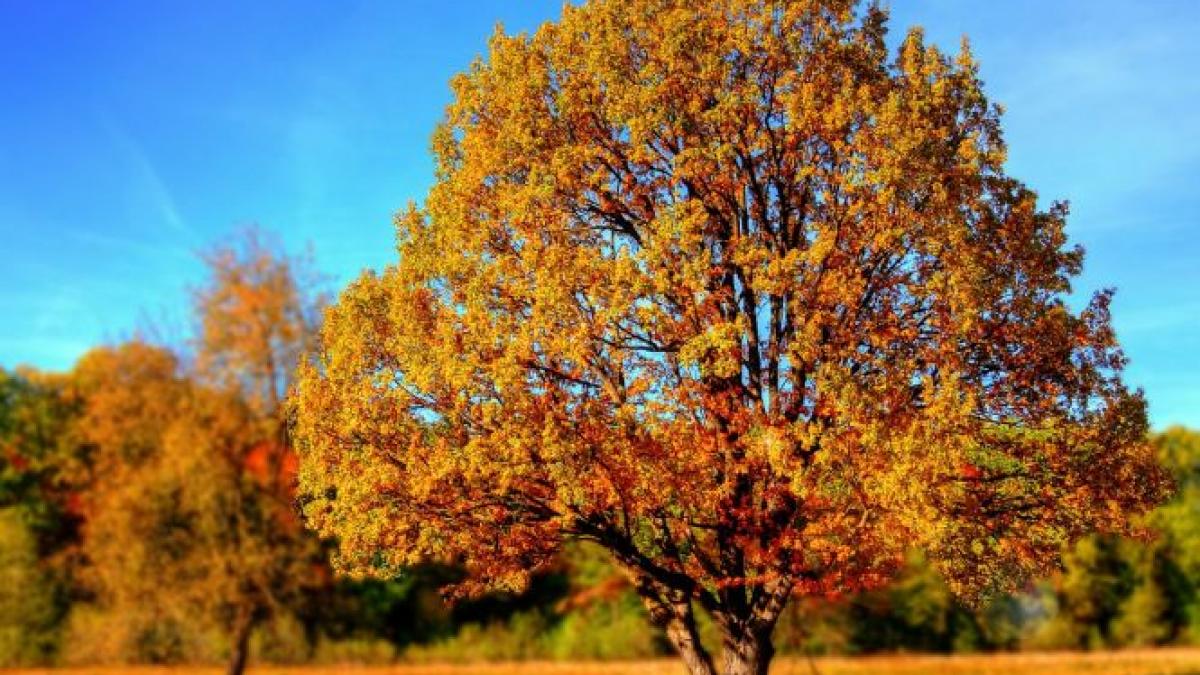 explicatiile meteorologilor pentru o toamna atipica primul weekend din septembrie vine cu canicula