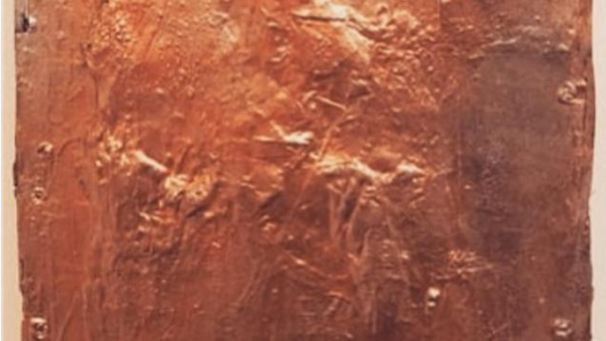 a cumparat un tablou cu 88 de dolari