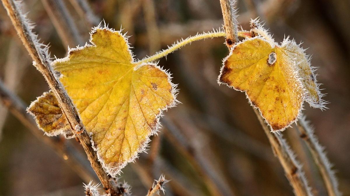 superstitii in luna septembrie semne care anunta ca vom avea o iarna grea si timpurie