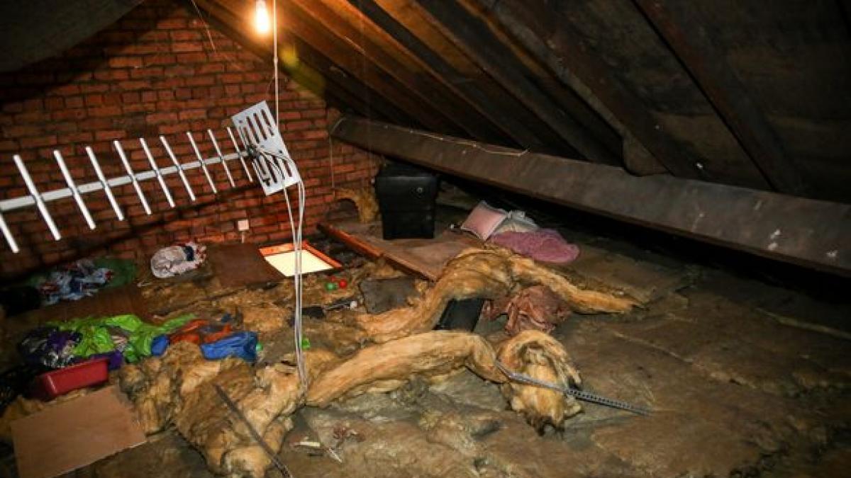 auzea zgomote ciudate din podul casei in fiecare seara intr o zi s a decis sa mearga sa verifice