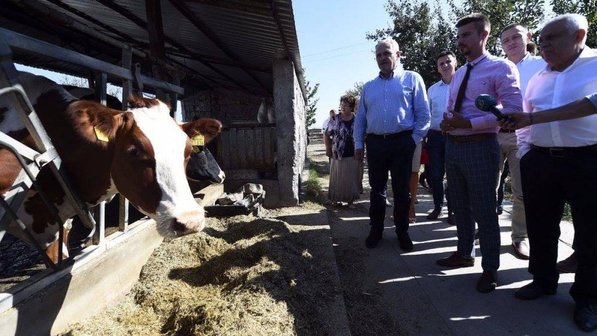 politikix cum profita dragnea de cel mai iubit ministru