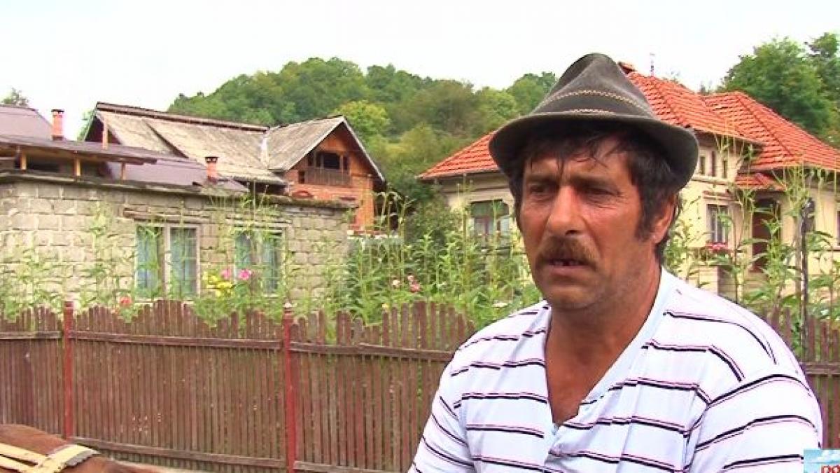 politikix politica la firul ierbii asistati sociali cu vacante de lux