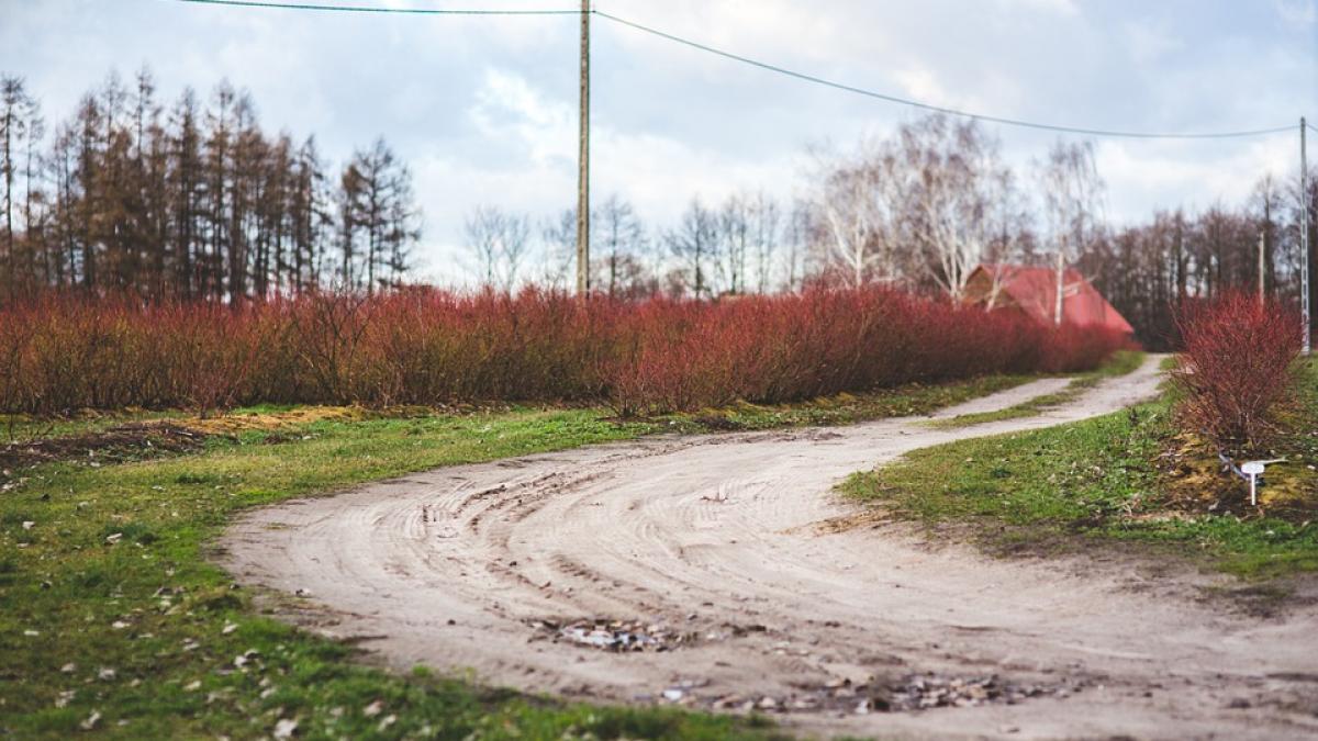 detalii socante despre moartea adolescentului gasit intr un sant in vrancea ce au aflat anchetatorii