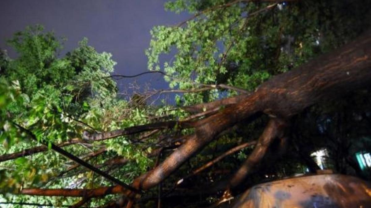 furtuna a facut ravagii in capitala mai multe curti au fost inundate iar cativa copaci au cazut pe