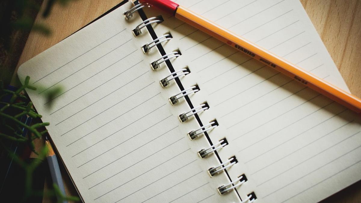 a aflat ca fiica ei de 12 ani a fost violata dupa ce i a citit jurnalul