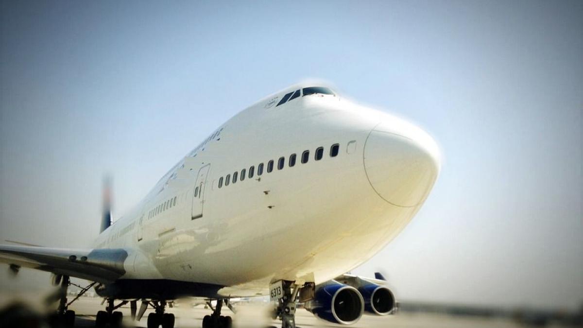 avion tinut la sol din cauza creaturii vazute de un pasager oamenilor le e teama sa urce in aeronava