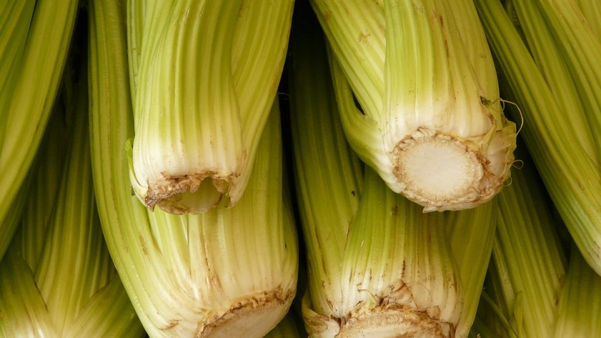 efectele uimitoare ale consumului de telina