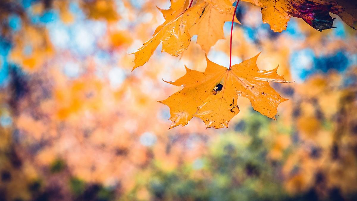 prognoza meteo pentru joi si vineri vremea se va incalzi in cea mai mare parte a tarii