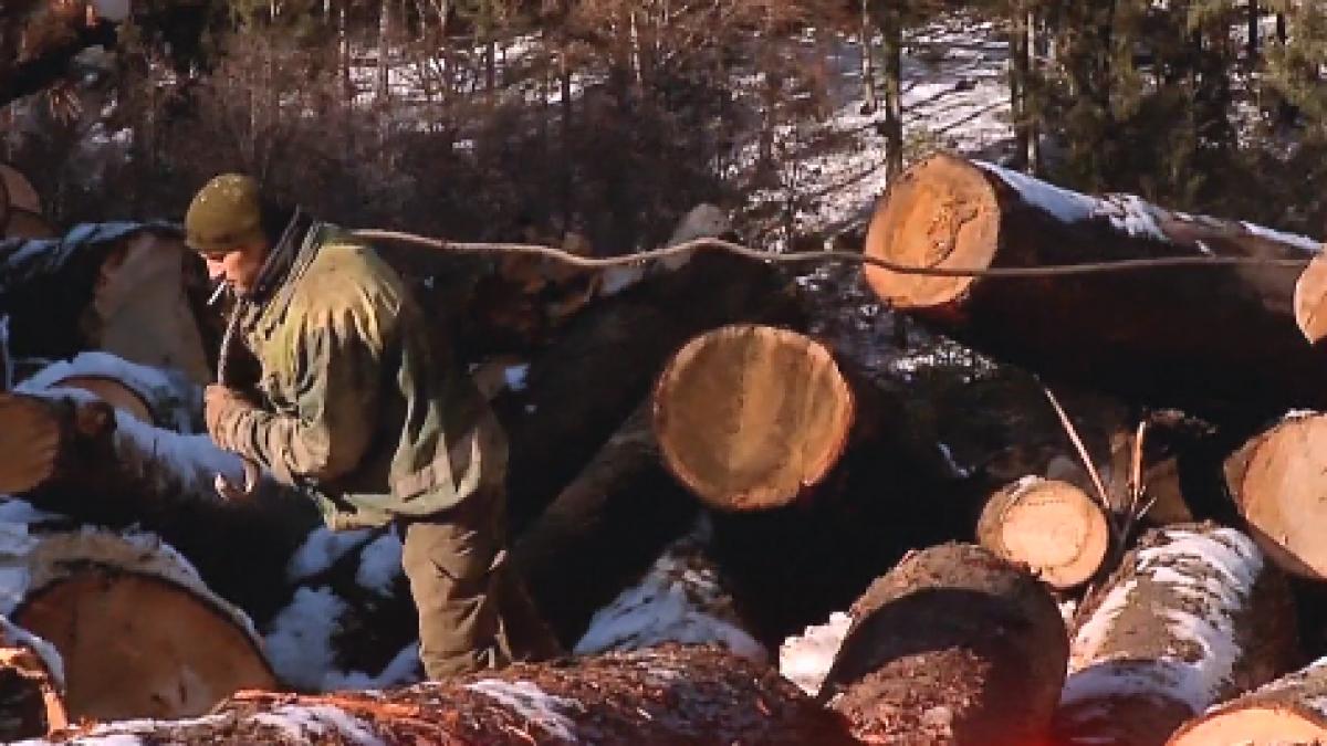 un politist a fost agresat si dezarmat de un padurar de la ce a pornit scandalul
