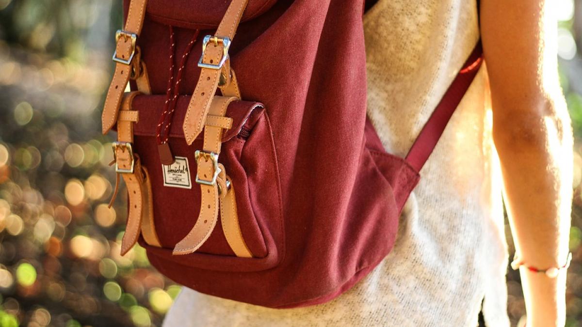 un sofer de autobuz a observat o fata care intarzia la scoala chiar in prima zi ce gest a facut