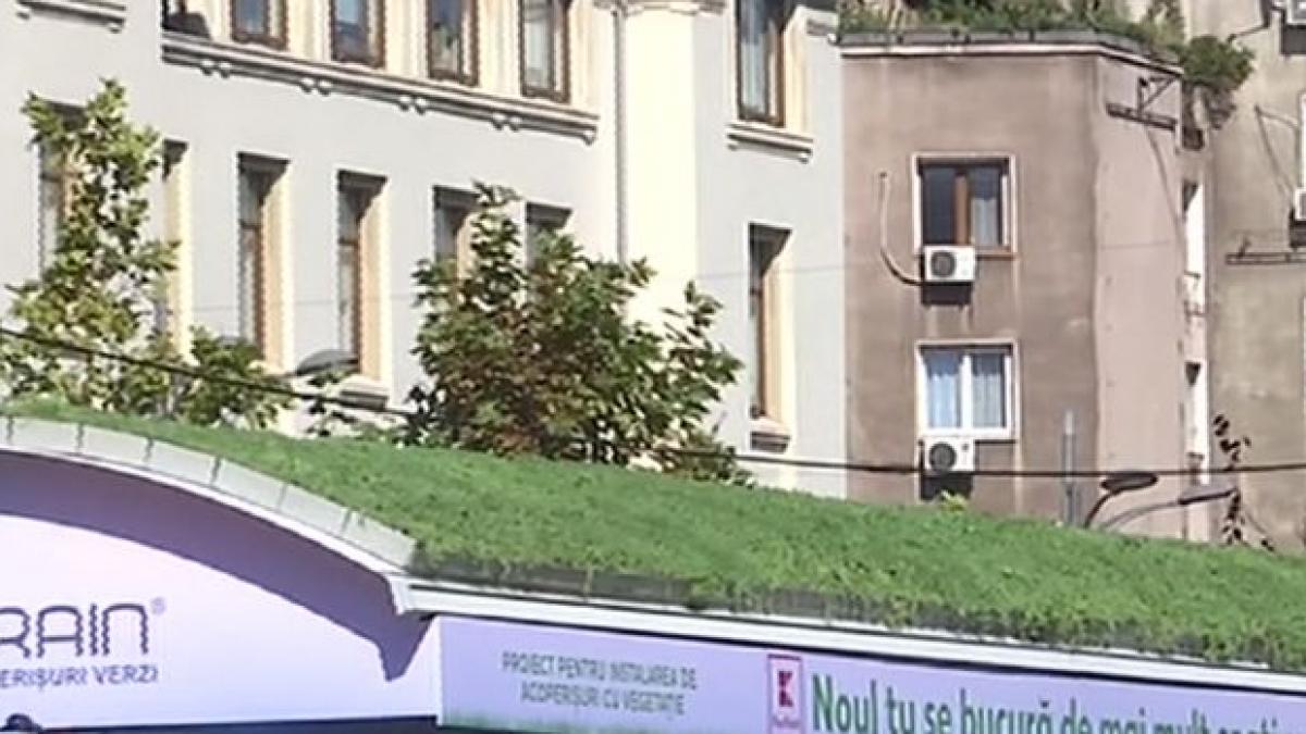 gabriela firea imi doresc o capitala verde peste 30 de statii de tramvai vor fi acoperite de