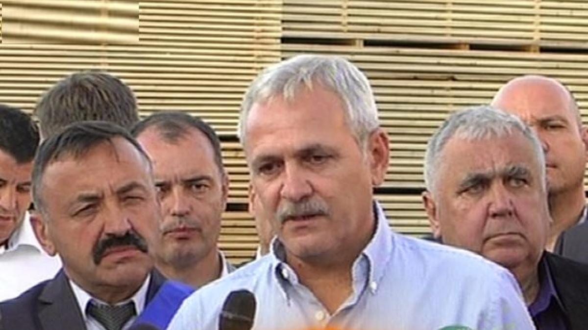 liviu dragnea psd ul este romania la scara mai mica