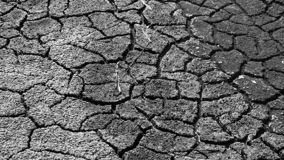 situatie dramatica pentru fermierii romani e dezastru in agricultura