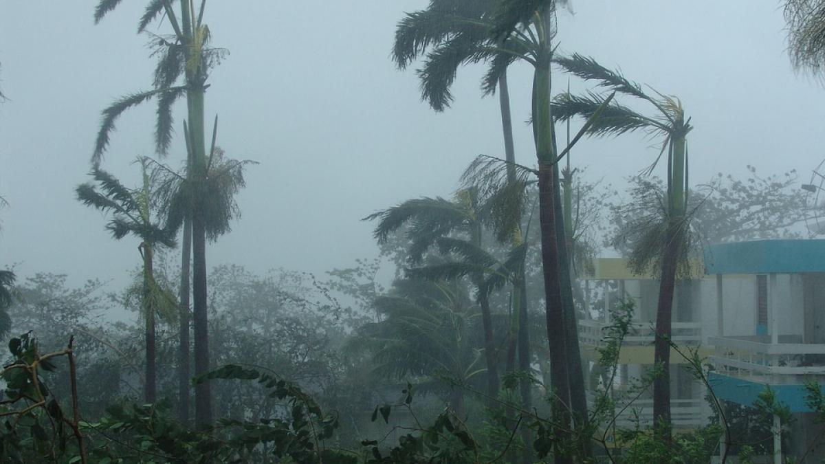 cum arata o plaja din bahamas dupa uraganul irma video