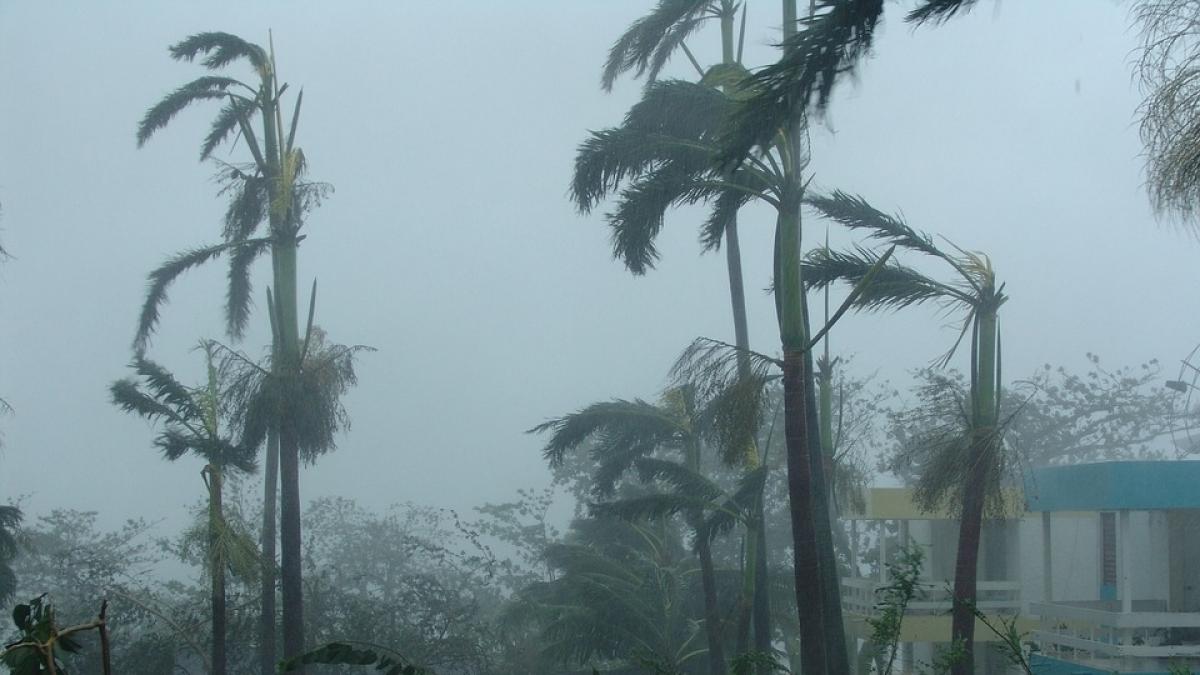 hotii profita de uraganul irma mai multi tineri surprinsi in timp ce devasteaza magazinele in