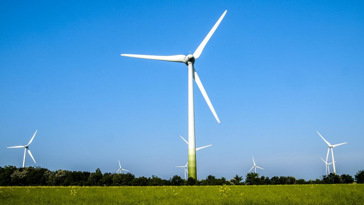 greenpeace romania si rwea organizeaza wind open day pe 14 septembrie