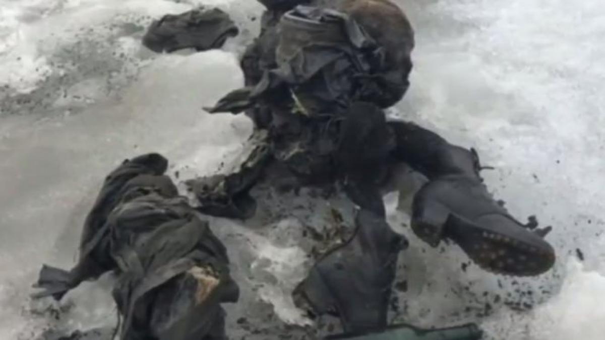 s au dus sa mulga vacile si nu s au mai intors dupa 75 de ani copiii lor au aflat adevarul uluitor