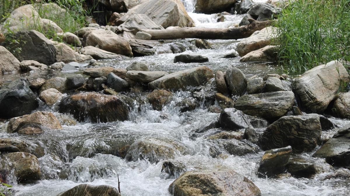 se plimba pe malul unui rau din judetul maramures cand a auzit un zgomot ciudat s a apropiat si a