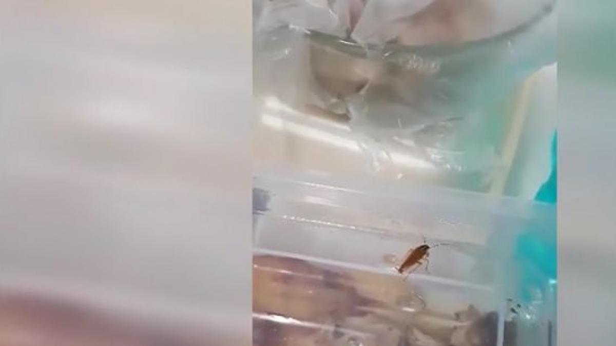 spitalul groazei de la constanta bolnavilor le e frica sa stea in saloanele care sunt adevarate