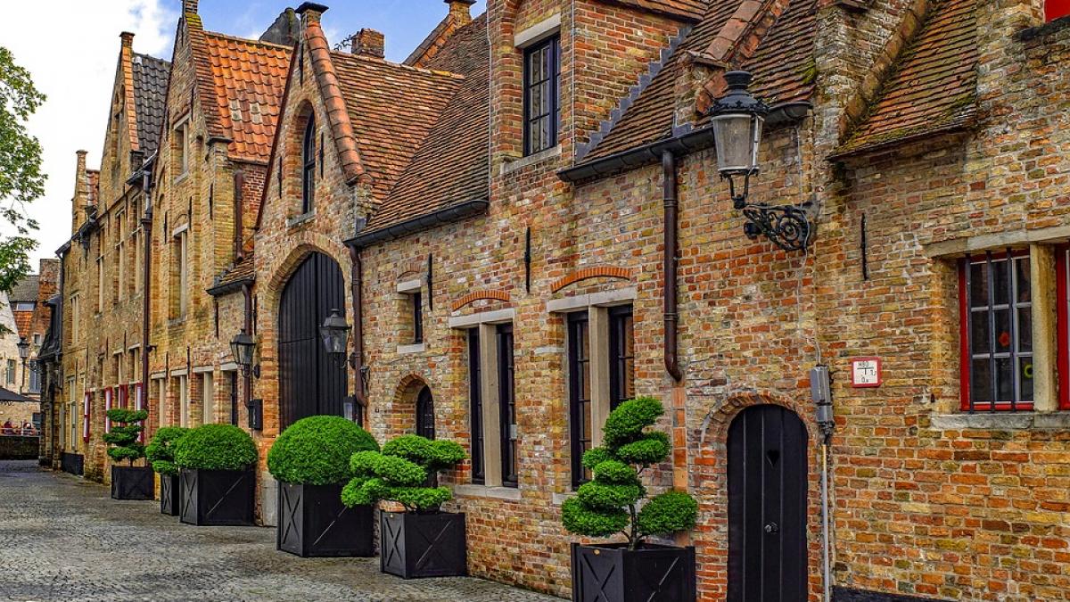 o bunicuta a iesit din casa dimineata si a avut parte de o surpriza uriasa nu i a venit sa creada