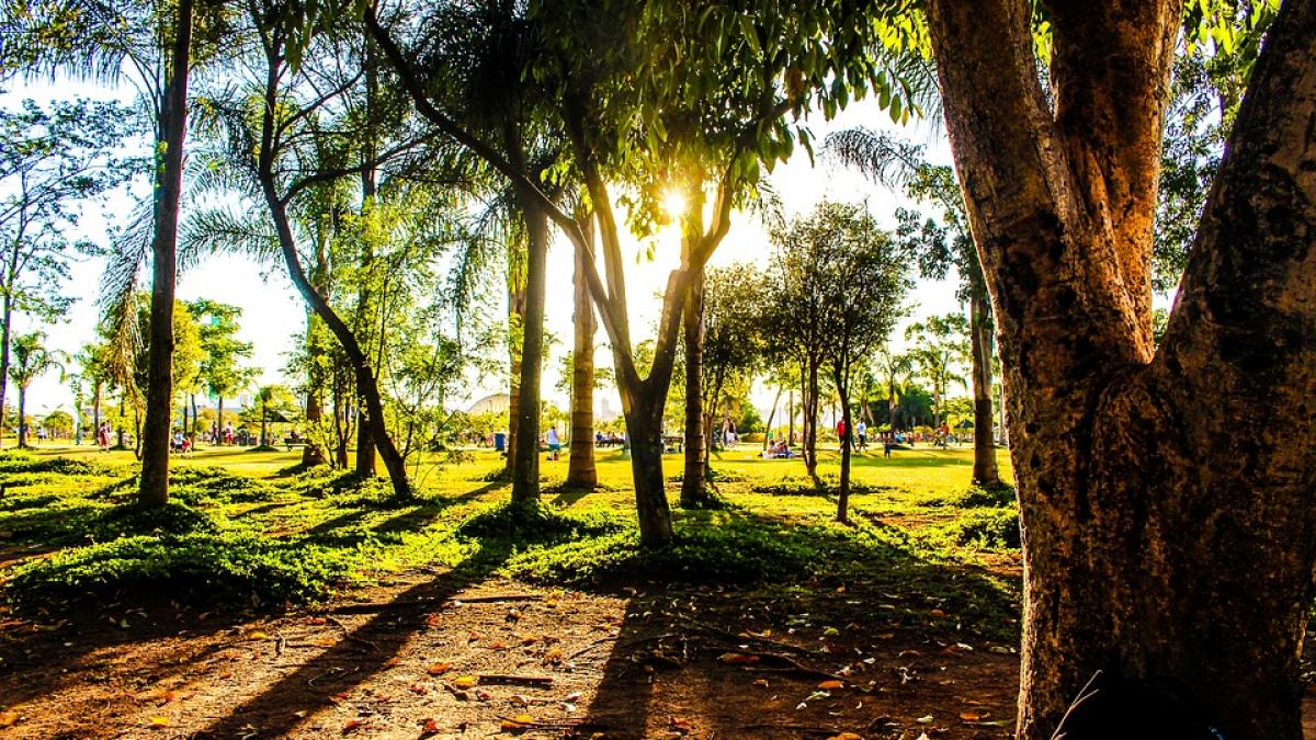 vremea va fi frumoasa prognoza meteo pentru zilele urmatoare