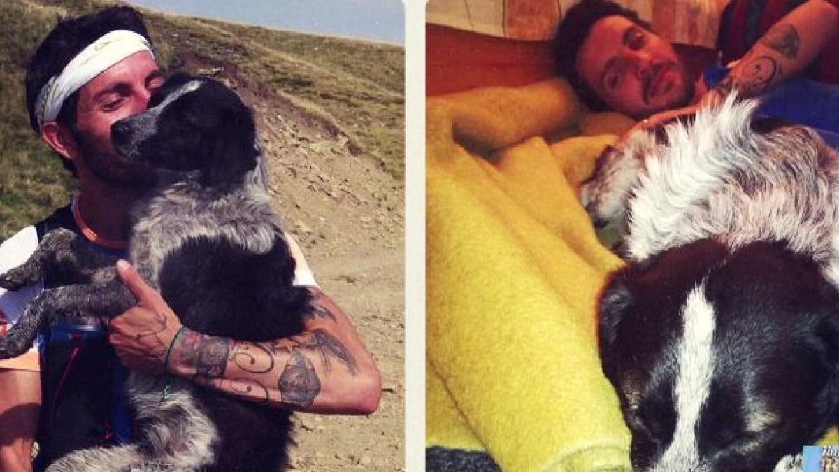 numai de bine cea mai emotionanta poveste a anului