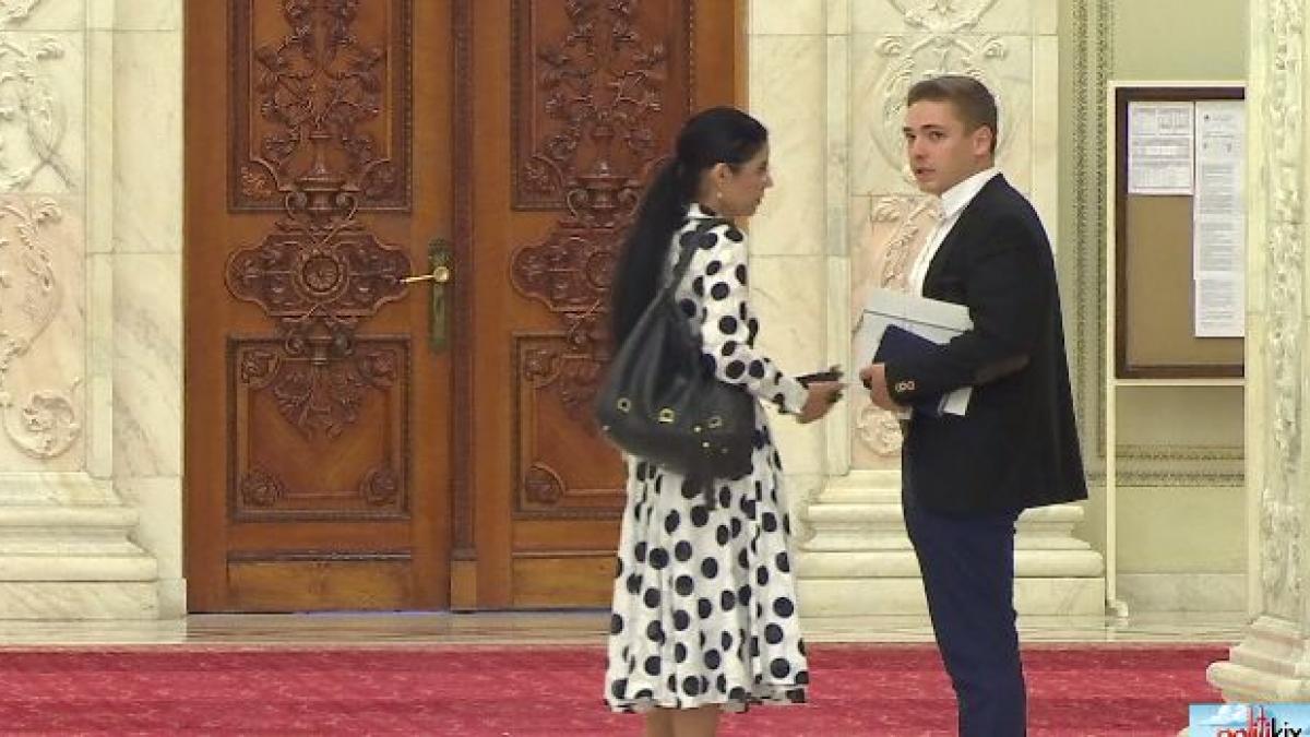 politikix doamna dalmatian in parlament