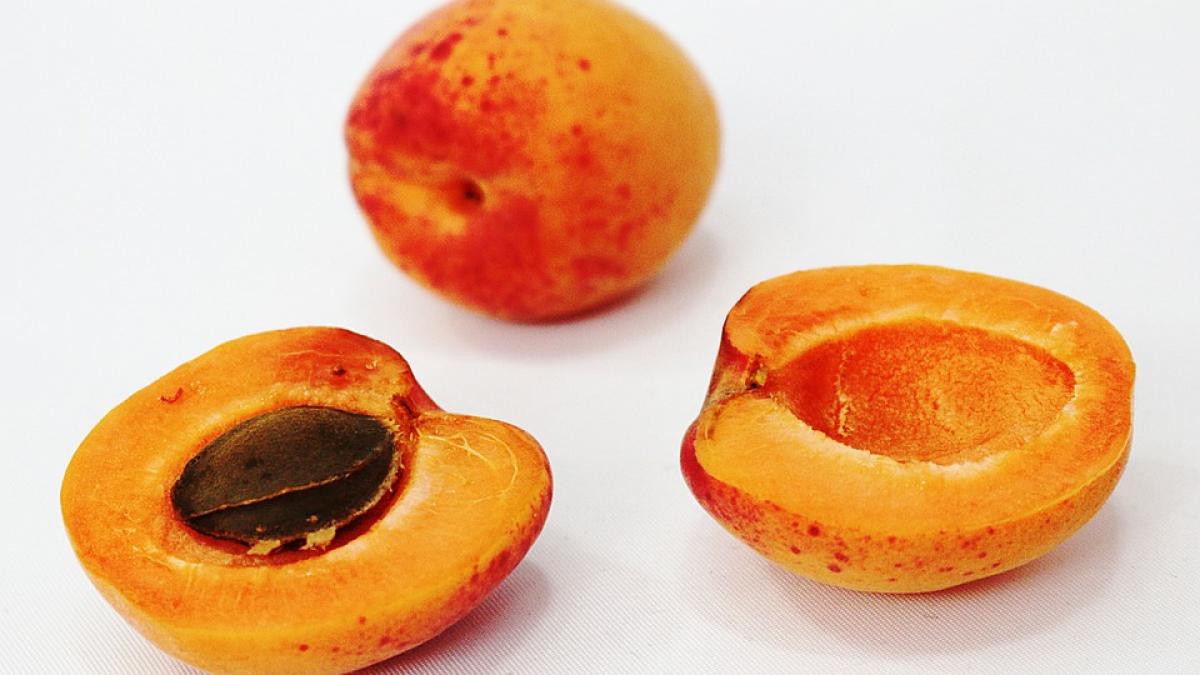 a mancat samburi de caise ca sa scape de cancer dat s a intoxicat cu cianura cum a fost posibil