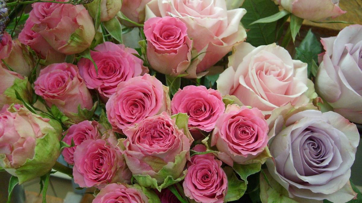 a primit un buchet de flori la munca colegii stiau ca e singura si au inceput imediat sa barfeasca