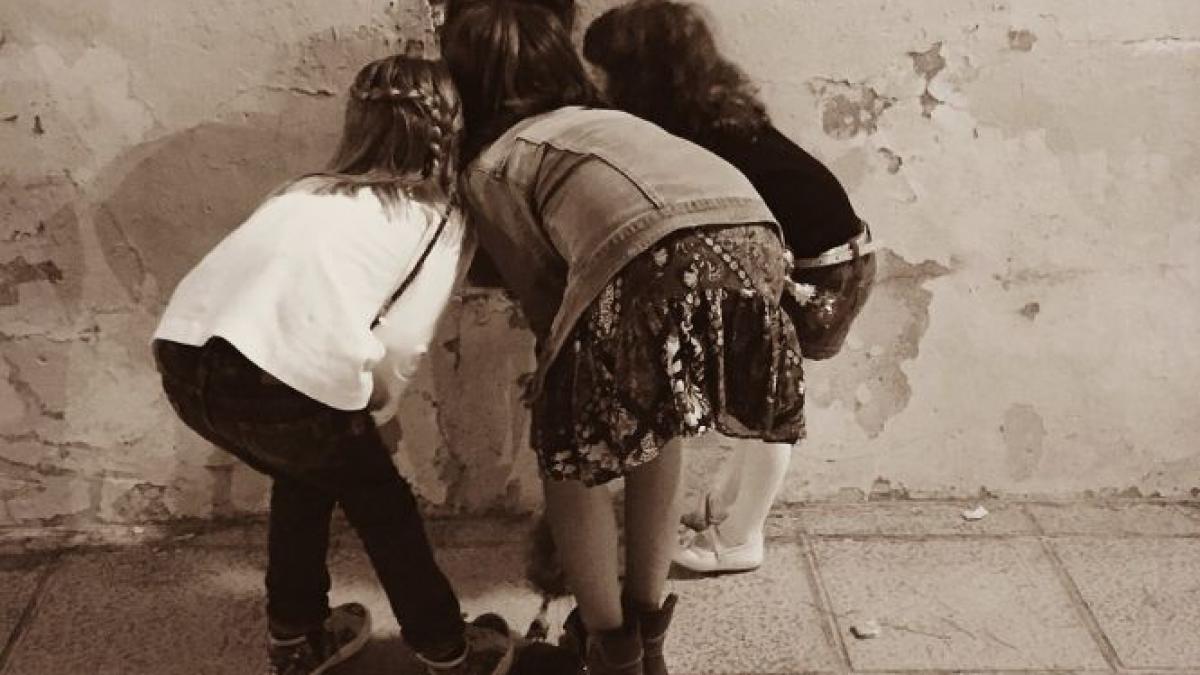 panica intr un cartier din suceava locatarii au sunat ingroziti la 112 ce a aparut in mijlocul unui