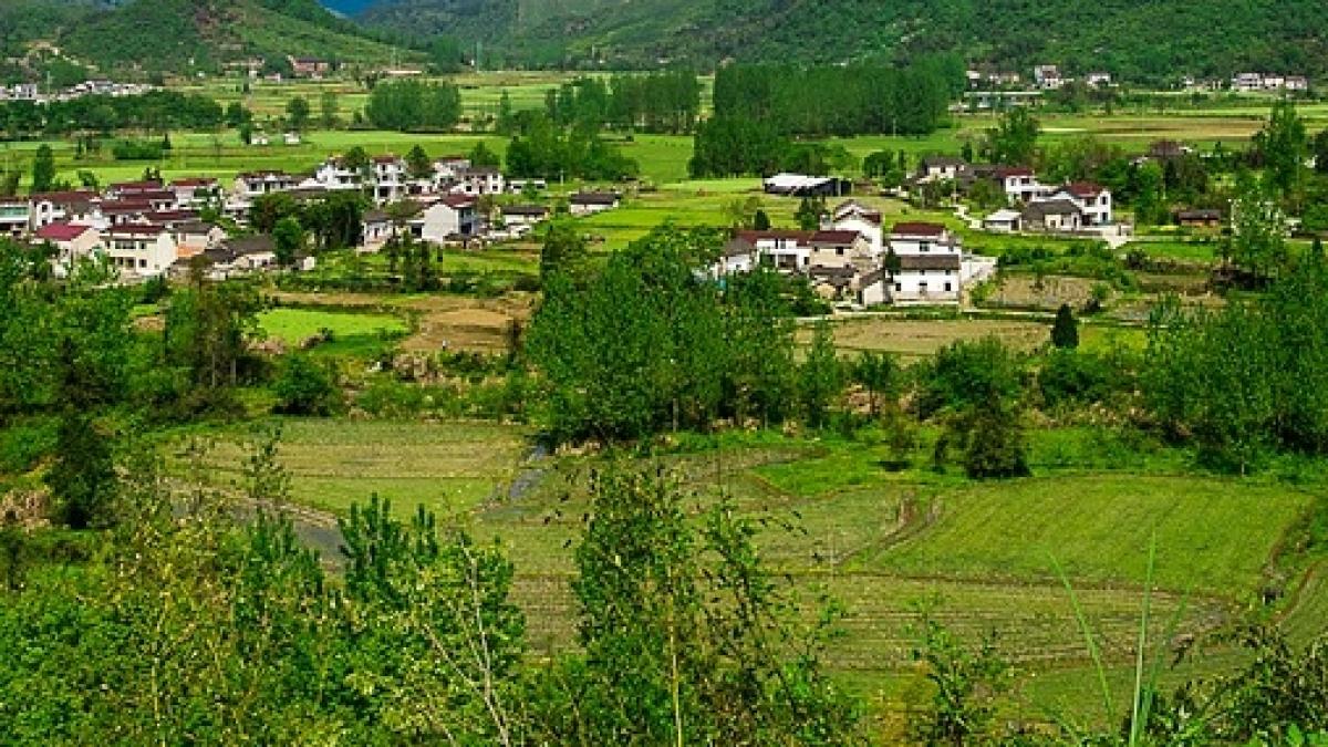 primarul unui oras din judetul sibiu trage un semnal de alarma de ce a plecat pe jos la bucuresti