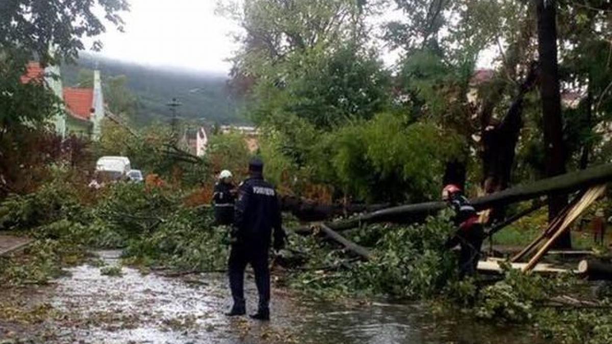 tragedie la buzias o familie intreaga a fost ucisa de vijelie unde se aflau oamenii cand a lovit