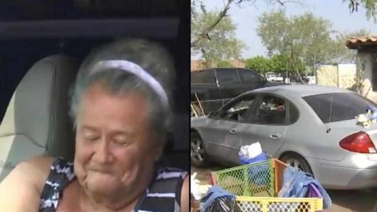 nopti la rand si a vazut vecina dormind in masina la un moment dat a mers sa o intrebe de ce face