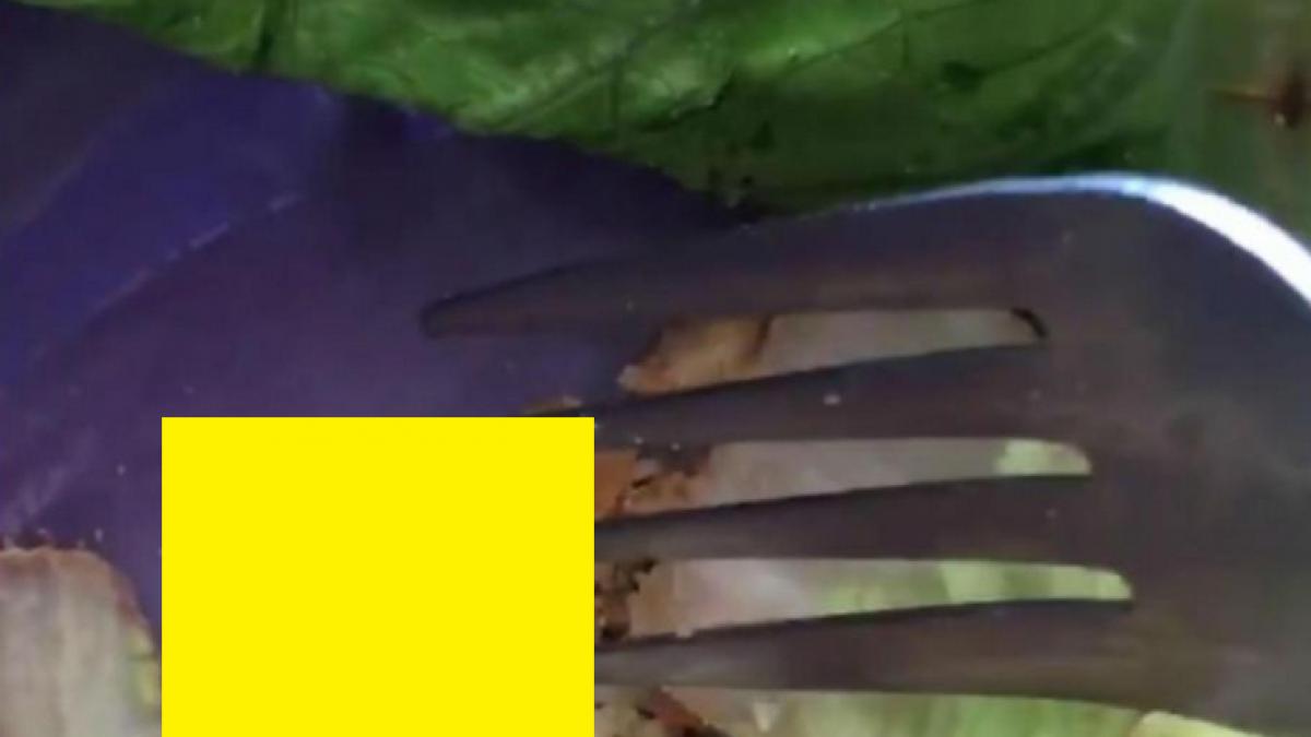 ce a descoperit o femeie in salata gata preparata pe care a cumparat o a inceput imediat sa urle de