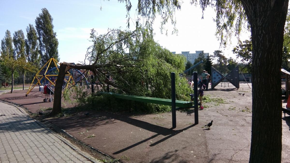 ce se intampla acum la timisoara dupa furtuna devastatoare de duminica