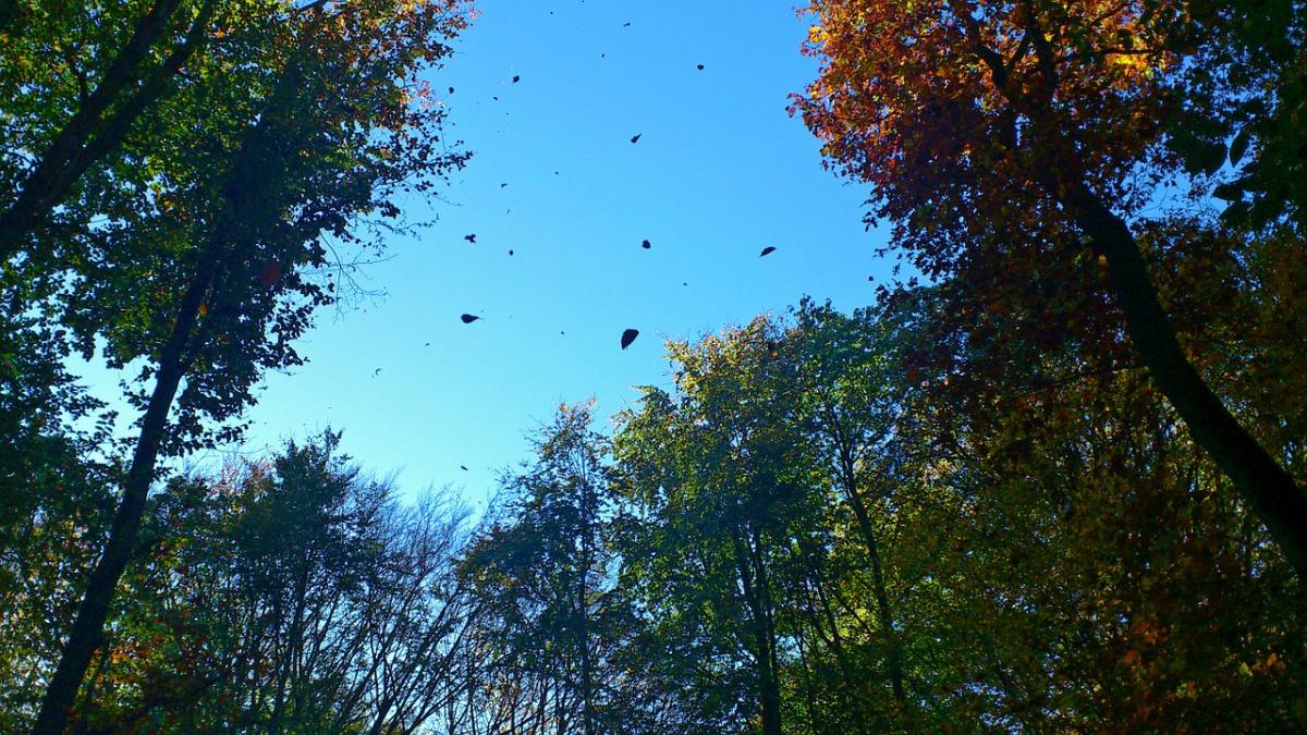 cum va fi vremea in tara joi 21 septembrie locul in precipitatiile pot fi sub forma de ninsoare