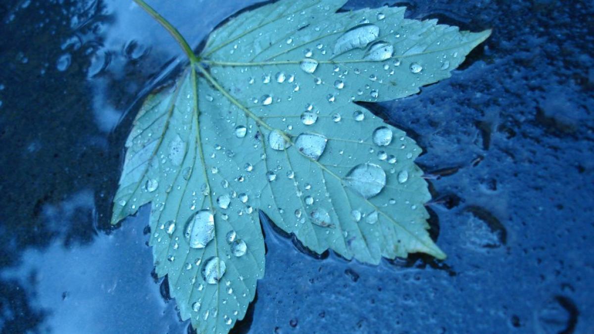 temperaturile scad dramatic minimele coboara pana la 6 grade