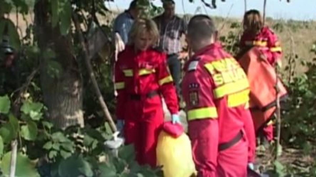 vijeliile au facut noi victime doi barbati au murit loviti de fulger in vaslui video